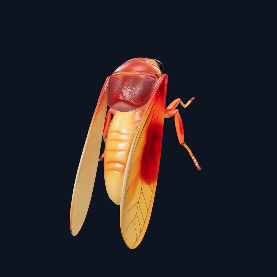 Amber-lit Cicada with Transparent Wings Model Pack